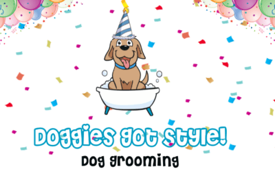 Doggies Got Style Turns One: A Tail-Wagging Celebration!